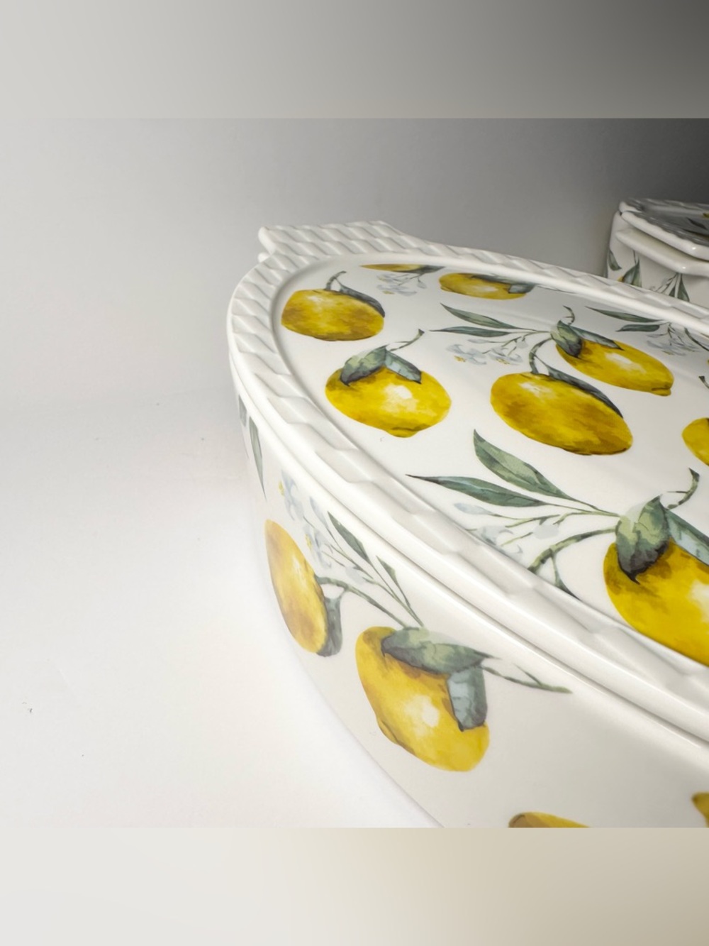 2-Lemon EuroGarden Oval & Rectangle Oven To Table Lidded Casserole Baker 3 in 1 - Picture 4 of 16